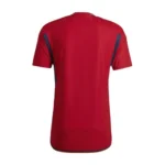 Spain 2022 Home Football Shirt